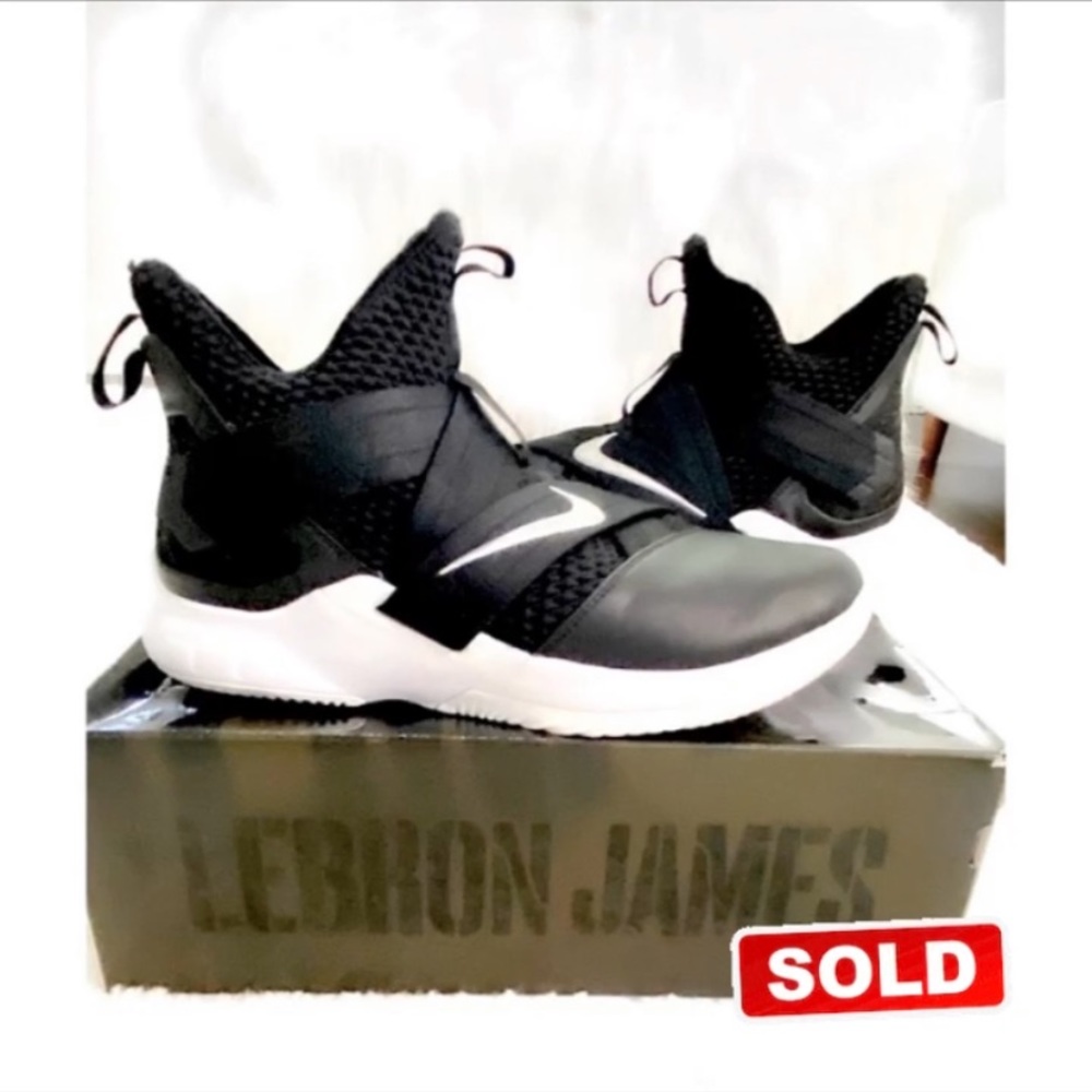 ✨SOLD✨Nike LeBron James Sneakers